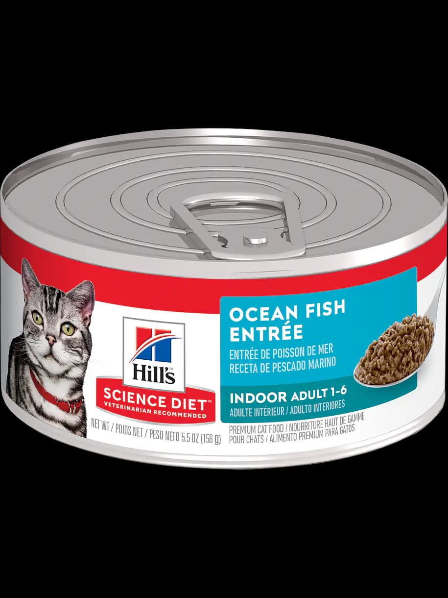 HILLS FELINO LATA INDOOR OCEAN FISH 156 GR